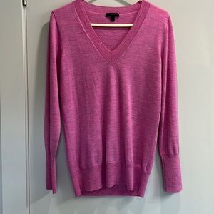 JCrew Merino Wool V- Neck Sweater